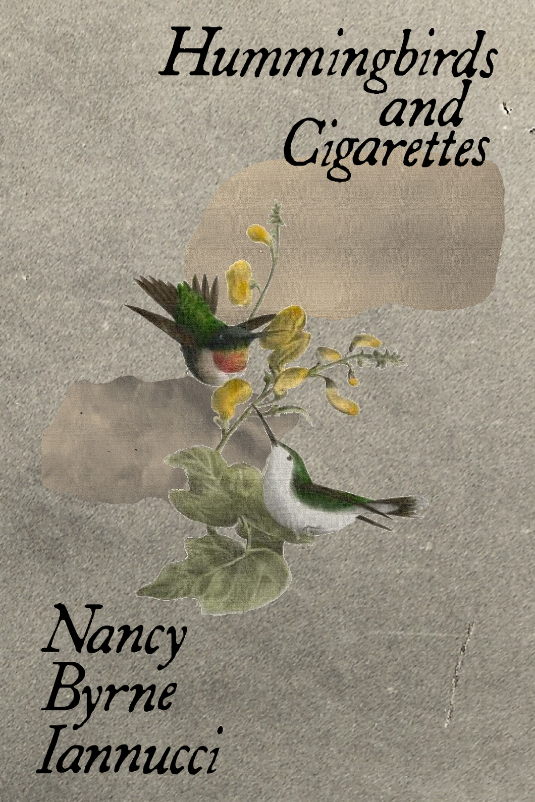 Hummingbirds and Cigarettes, by Nancy Byrne Iannucci-Print Books-Bottlecap Press
