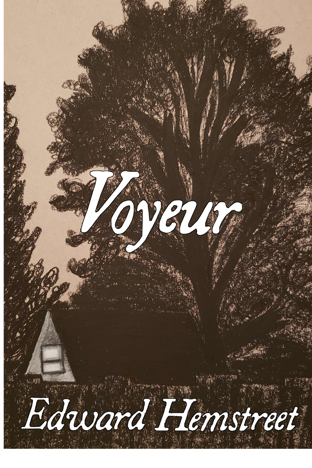 Voyeur, by Edward Hemstreet-Print Books-Bottlecap Press