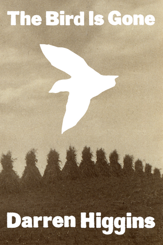 The Bird is Gone, by Darren Higgins-Print Books-Bottlecap Press