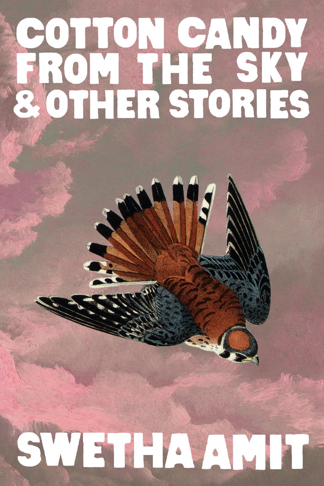 Cotton Candy from the Sky & Other Stories-Print Books-Bottlecap Press