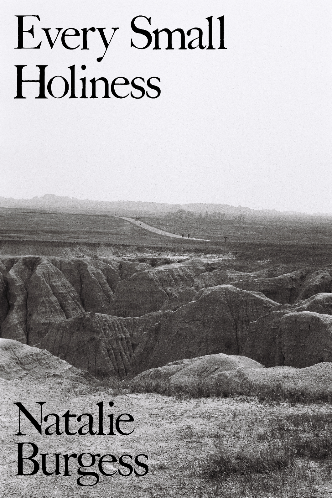 Every Small Holiness, by Natalie Burgess-Print Books-Bottlecap Press
