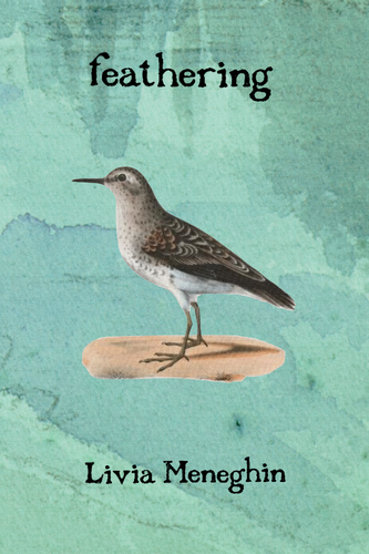 feathering, by Livia Meneghin-Print Books-Bottlecap Press