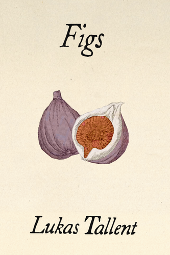 Figs, by Lukas Tallent-Print Books-Bottlecap Press