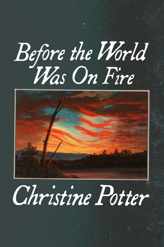 Before the World Was On Fire, by Christine Potter-Print Books-Bottlecap Press