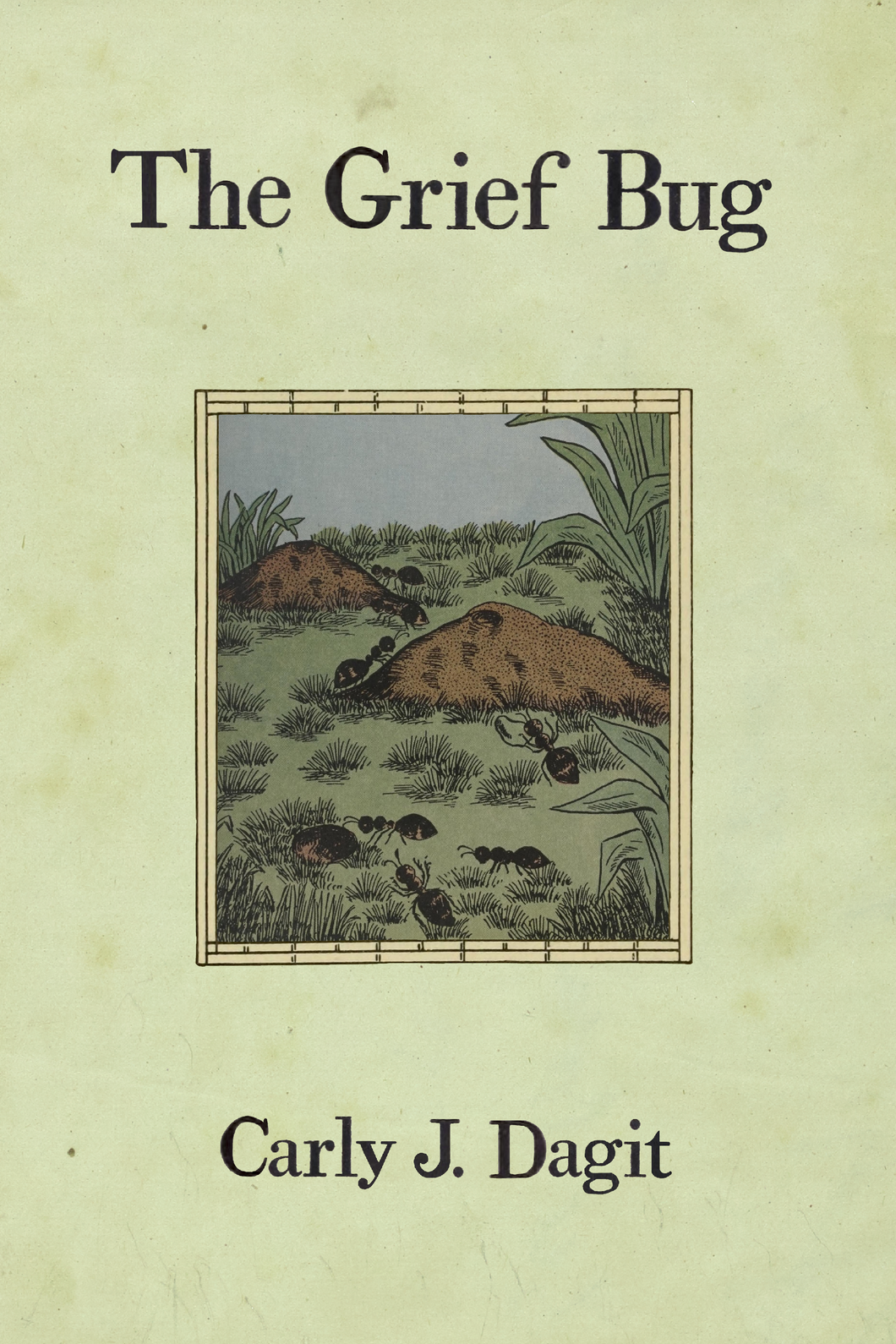 The Grief Bug, by Carly Dagit-Print Books-Bottlecap Press