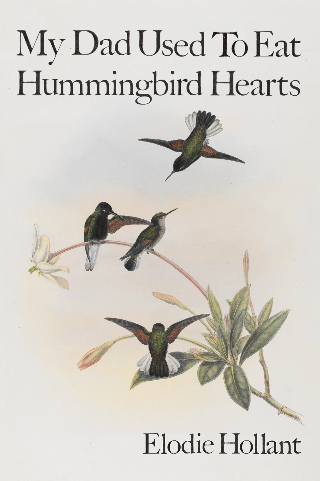 My Dad Used To Eat Hummingbird Hearts, by Elodie Hollant-Print Books-Bottlecap Press
