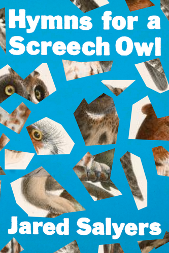 Hymns for a Screech Owl, by Jared Salyers-Print Books-Bottlecap Press