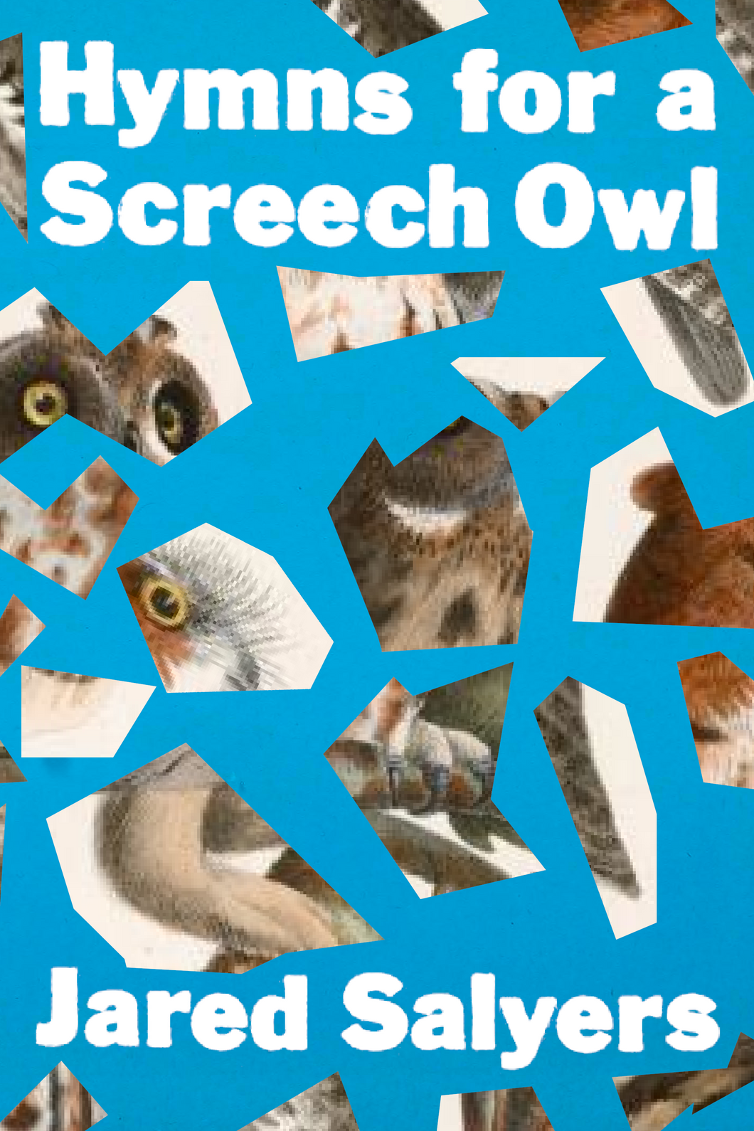 Hymns for a Screech Owl, by Jared Salyers-Print Books-Bottlecap Press