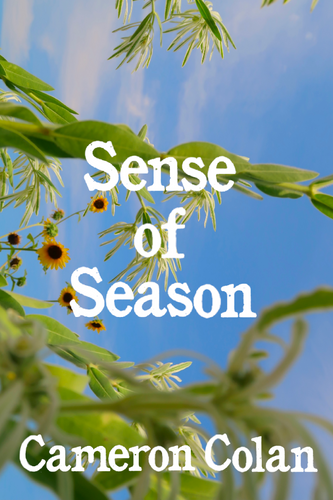 Sense of Season, by Cameron Colan-Print Books-Bottlecap Press