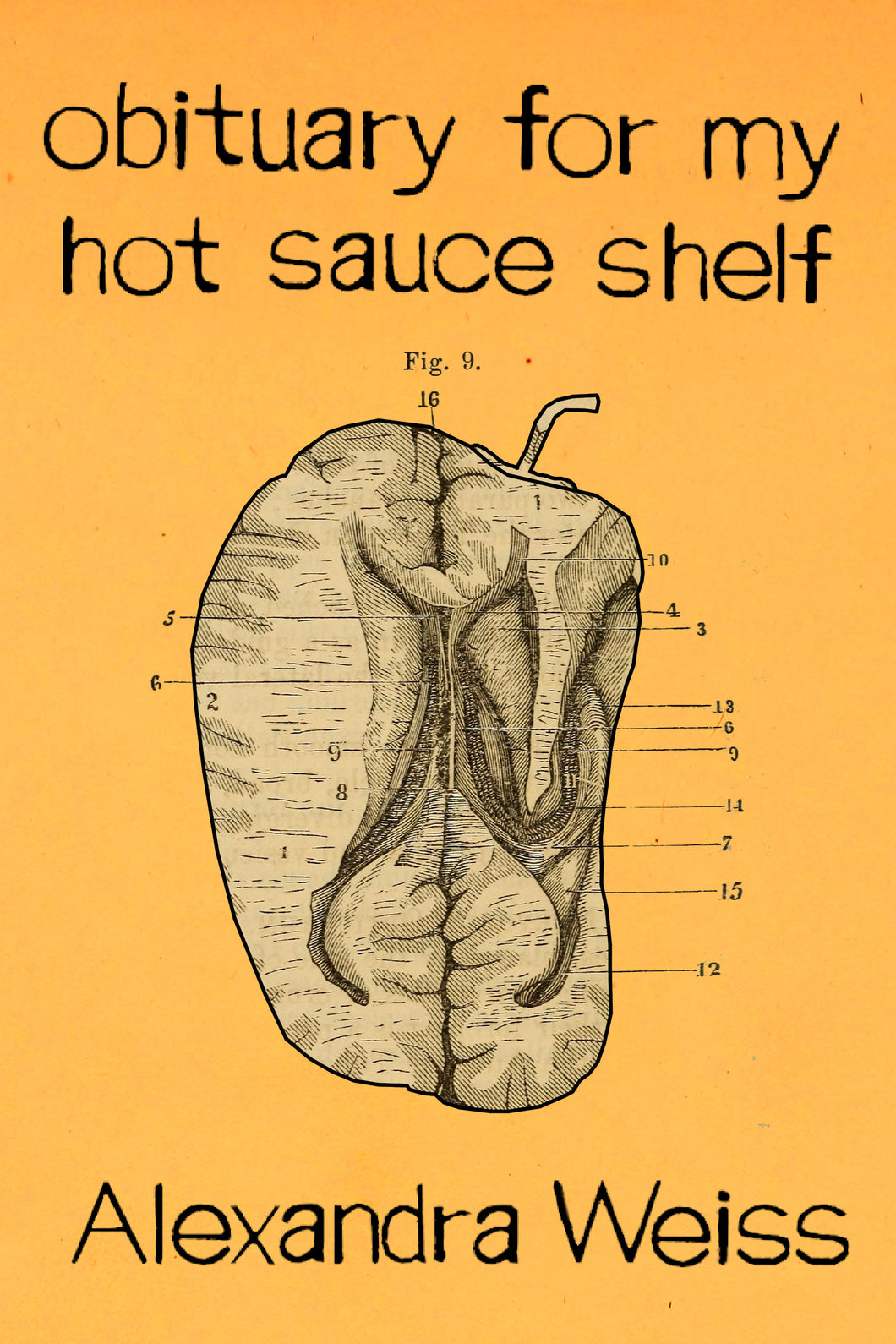 obituary for my hot sauce shelf, by Alexandra Weiss-Print Books-Bottlecap Press