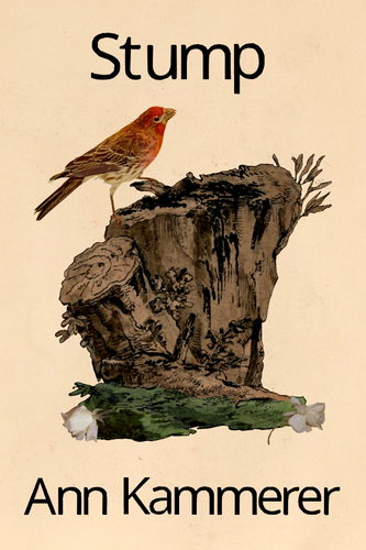 Stump, by Ann Kammerer-Print Books-Bottlecap Press