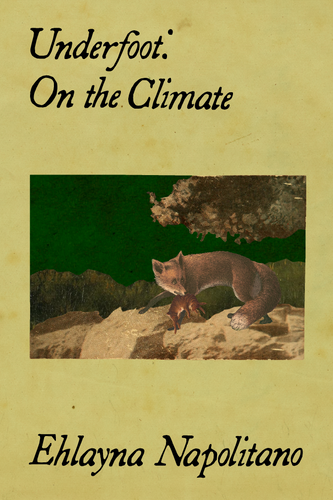 Underfoot: On the Climate, by Ehlayna Napolitano-Print Books-Bottlecap Press