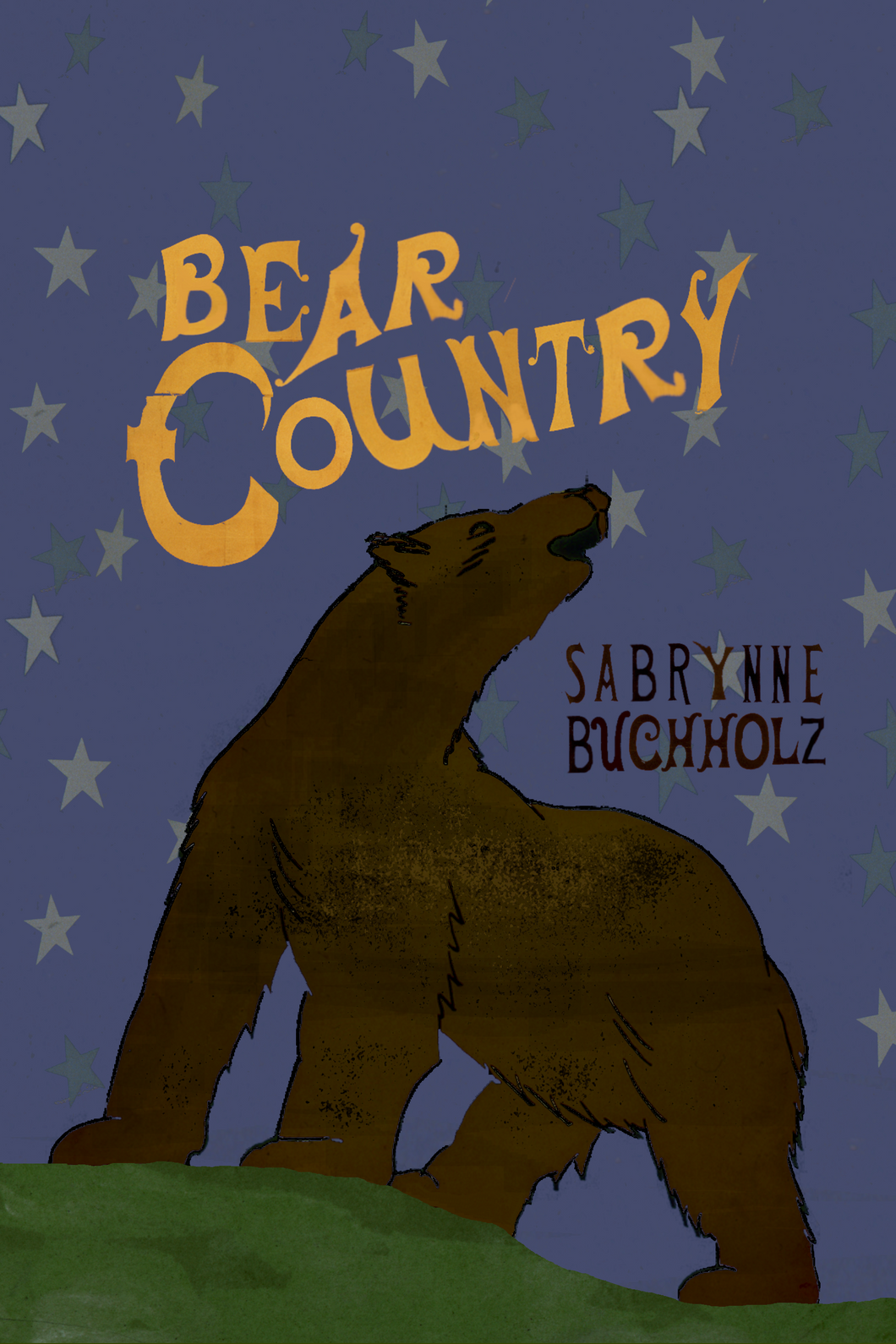 Bear Country, by Sabrynne Buchholz-Print Books-Bottlecap Press