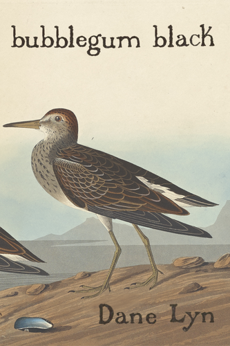 bubblegum black, by Dane Lyn-Print Books-Bottlecap Press