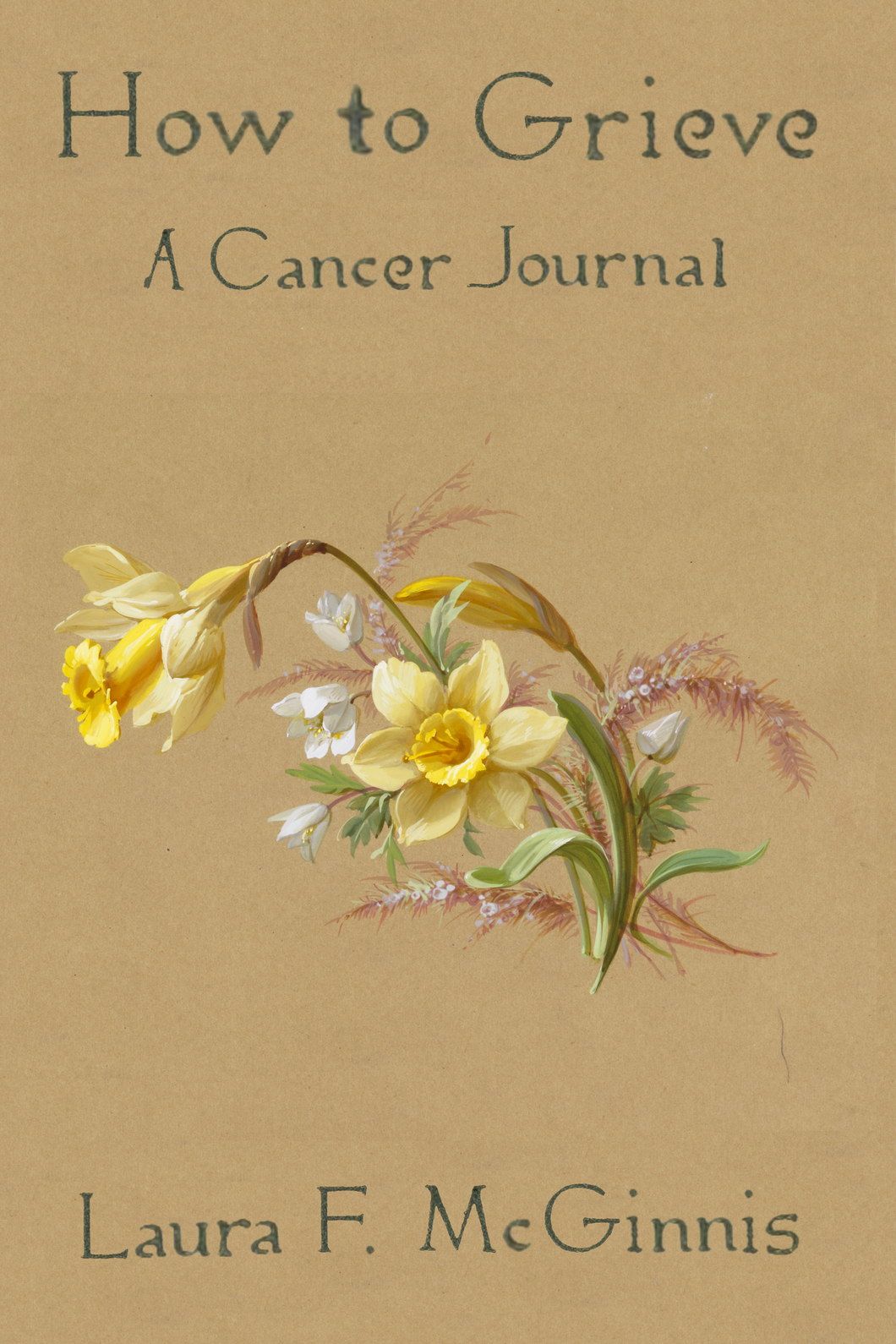 How to Grieve: a cancer journal, by Laura F. McGinnis-Print Books-Bottlecap Press