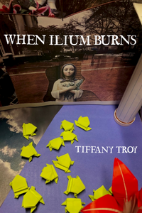 When Ilium Burns, by Tiffany Troy-Print Books-Bottlecap Press