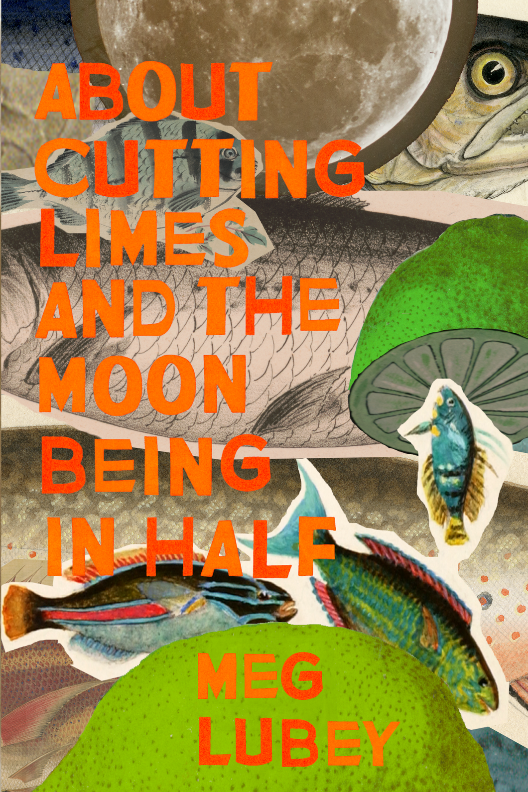 About Cutting Limes and the Moon Being in Half, by Meg Lubey-Print Books-Bottlecap Press