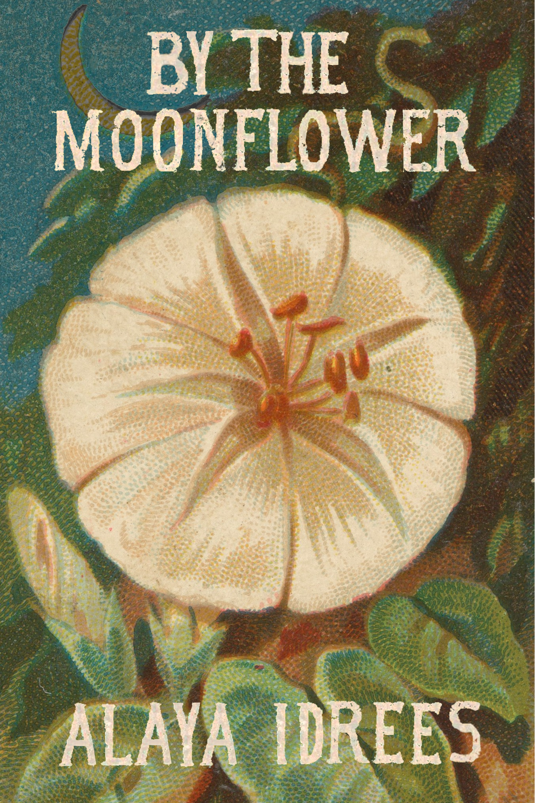 By the Moonflower, by Alaya Idrees-Print Books-Bottlecap Press