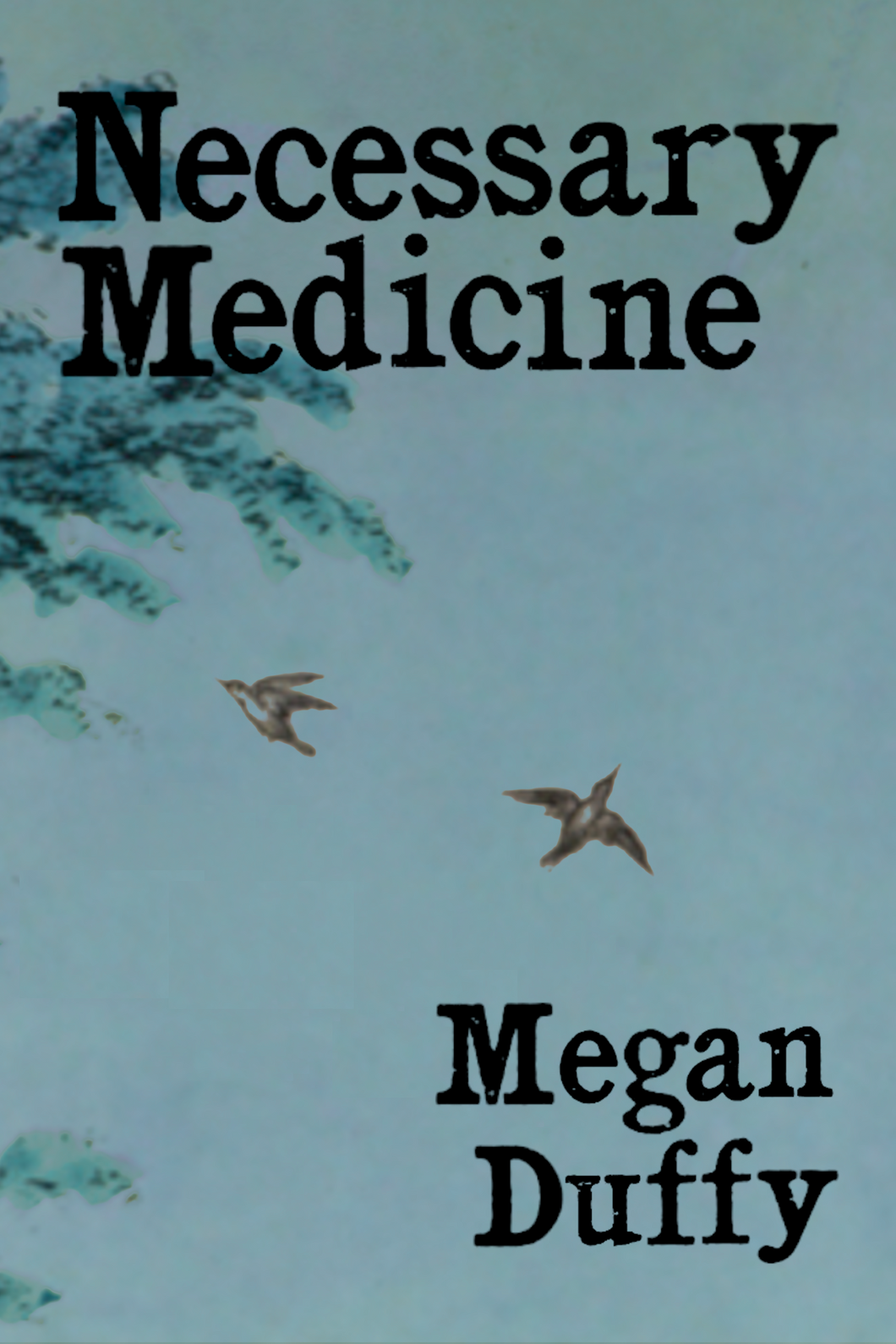 Necessary Medicine, by Megan Duffy-Print Books-Bottlecap Press