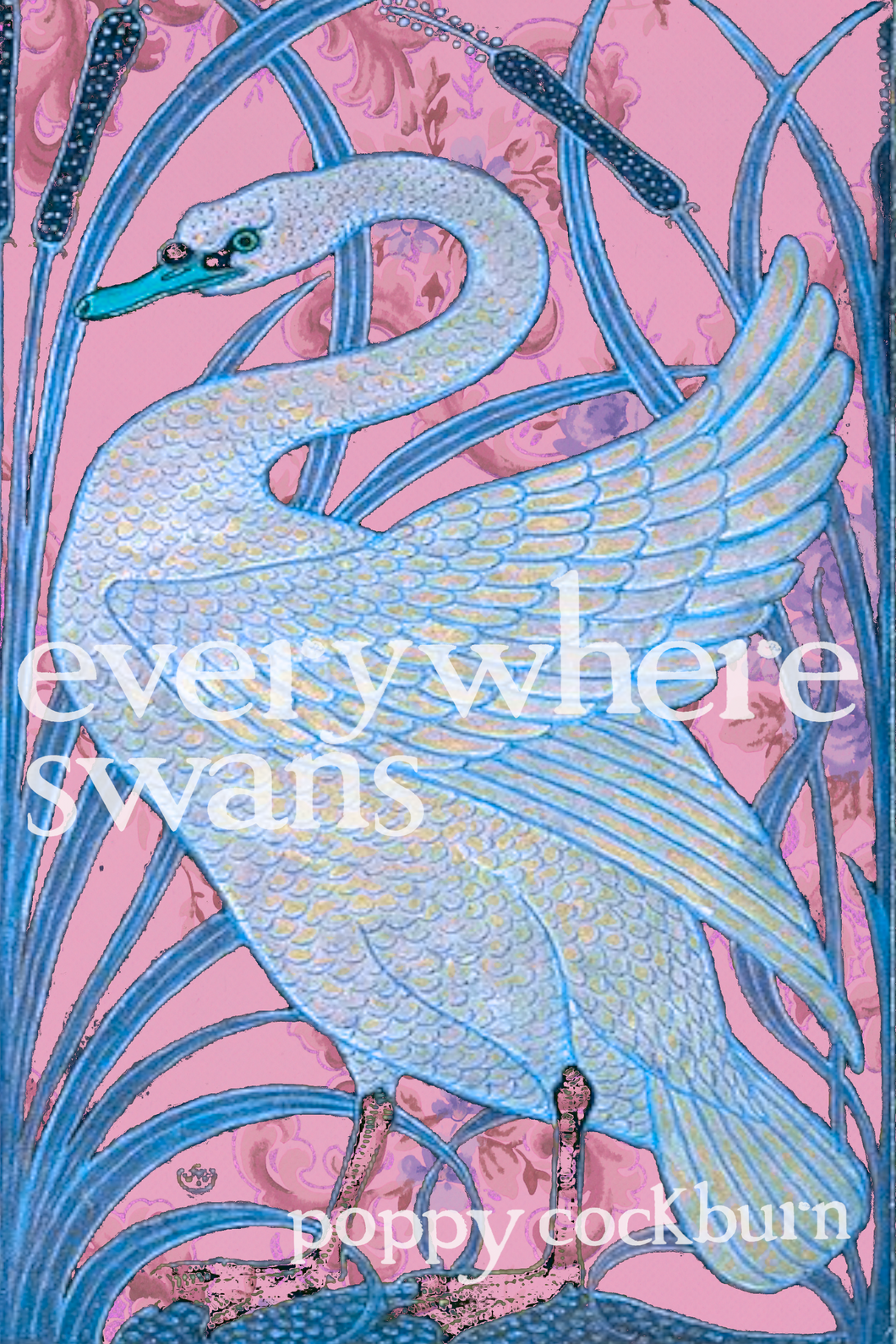 everywhere swans, by Poppy Cockburn-Print Books-Bottlecap Press