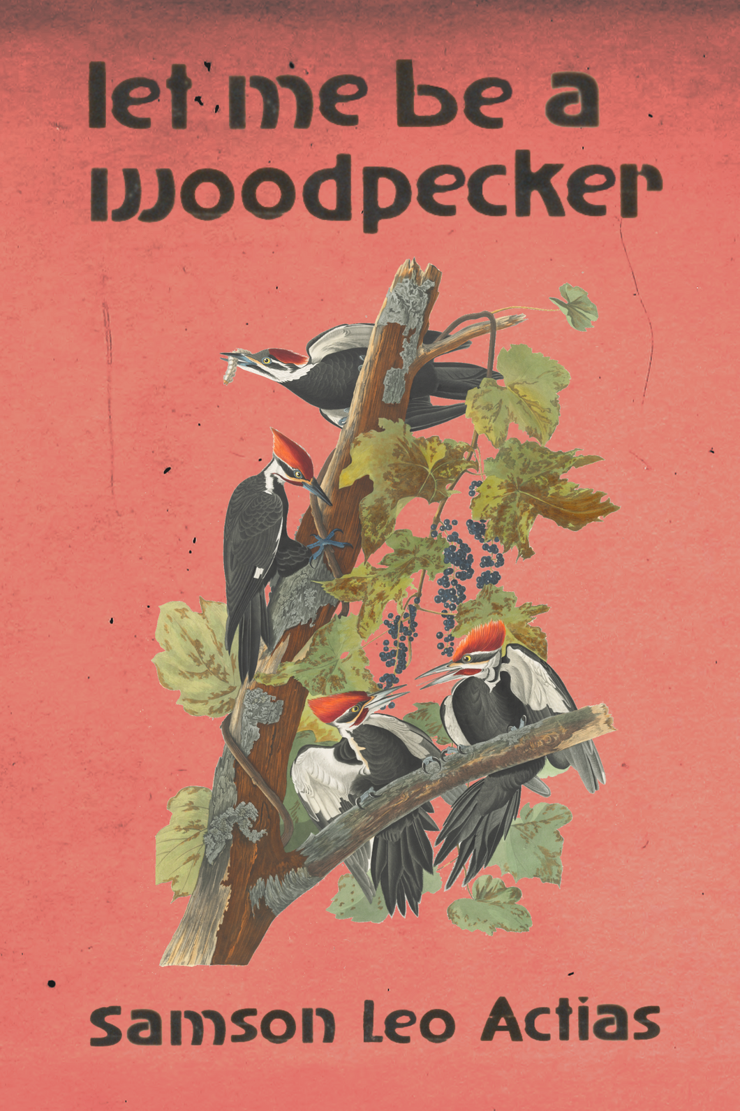 let me be a woodpecker, by Samson Leo Actias-Print Books-Bottlecap Press